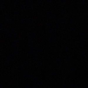 Meet your Posher, Sylvia